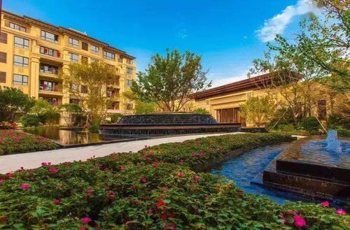 植物景觀丨這些樹種出來(lái)的藝術(shù)