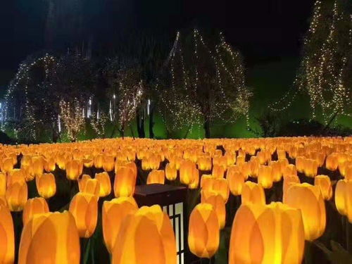 國際燈雕工藝品廠家與景觀亮化藝術(shù)